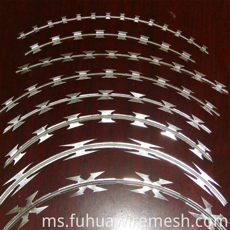 High Quality Razor Wire Cbt 60 3